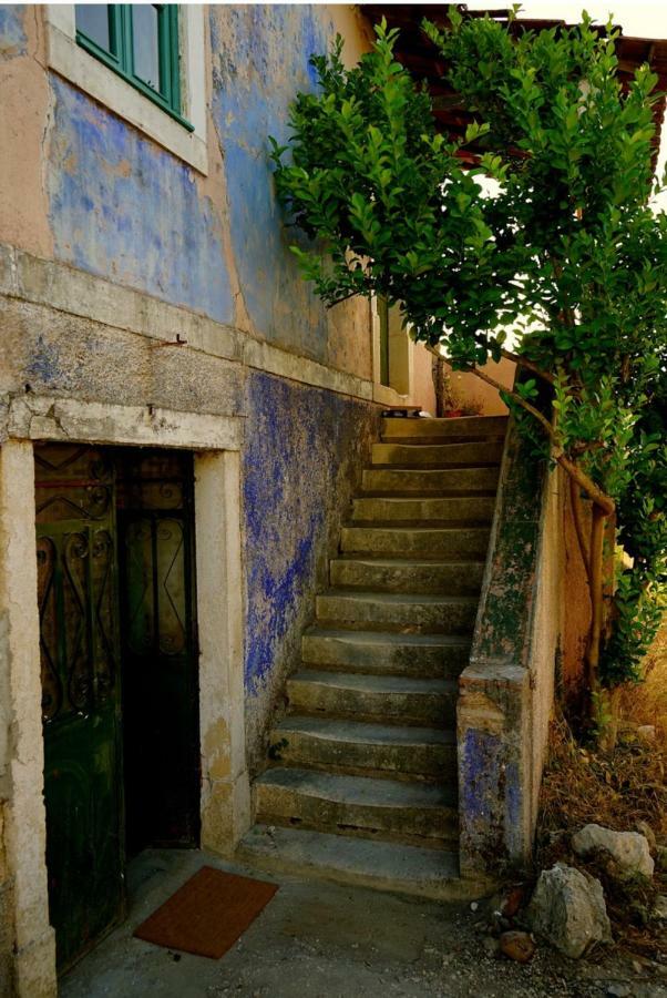 Santarém Sao Miguel House , Casa Do Carvalhalゲストハウス エクステリア 写真
