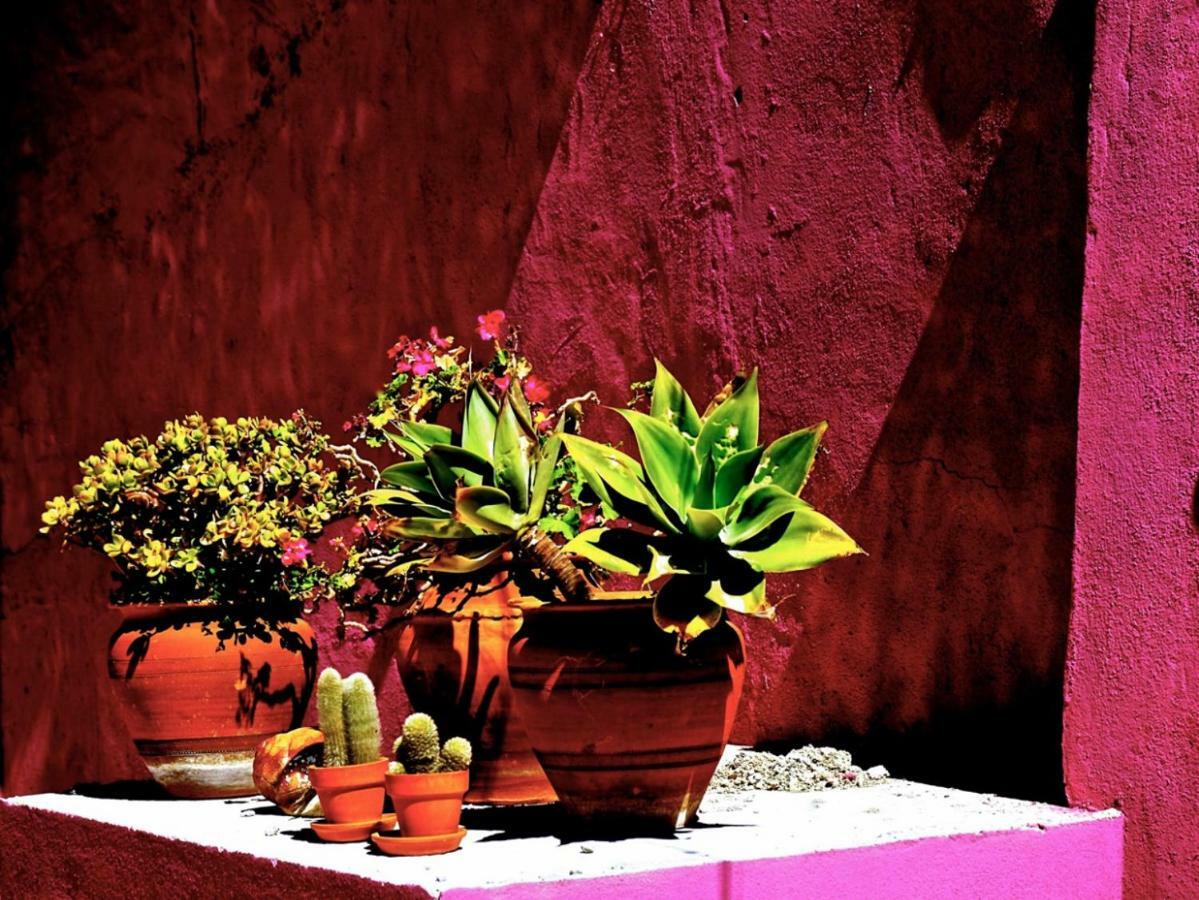 Santarém Sao Miguel House , Casa Do Carvalhalゲストハウス エクステリア 写真