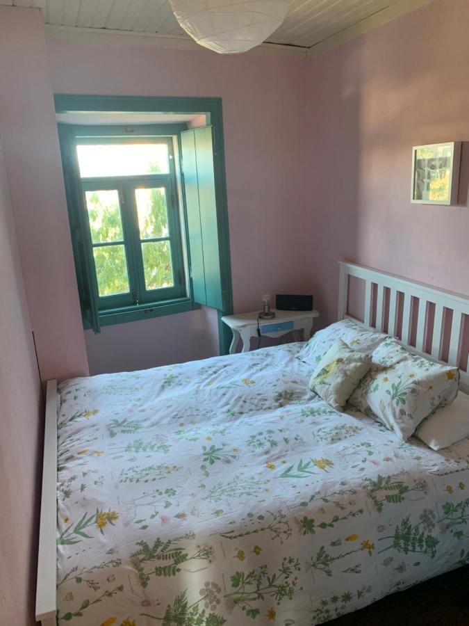 Santarém Sao Miguel House , Casa Do Carvalhalゲストハウス エクステリア 写真